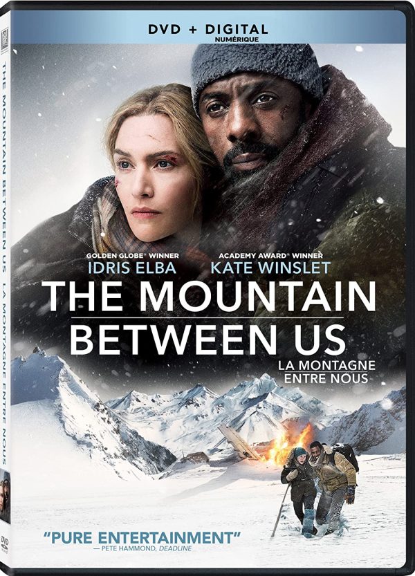 the mountain between us dvd films à vendre