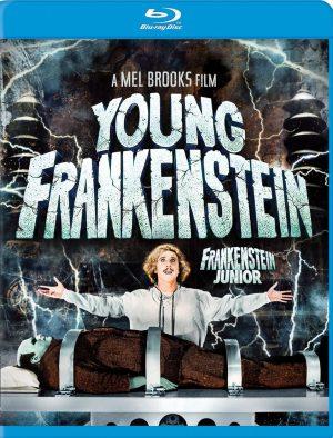 young frankenstein br dvd films a vendre