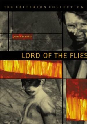lord of the flies dvd films à vendre