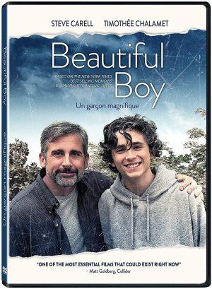 Beautiful Boy DVD à vendre.