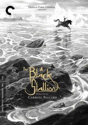 The Black Stallion DVD à vendre.