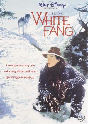 white fang dvd films à vendre