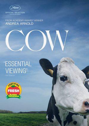 Cow DVD à louer.