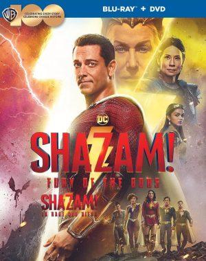 shazam fury br dvd films à vendre