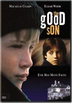 the good son dvd films à vendre