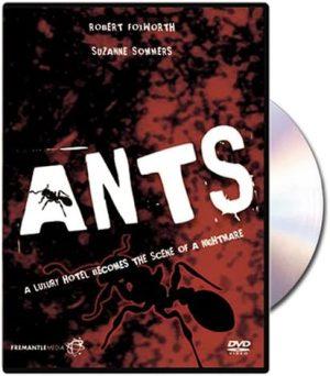ants dvd a vendre