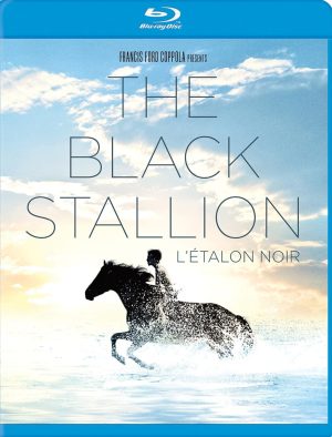 black stallion blu ray a vendre