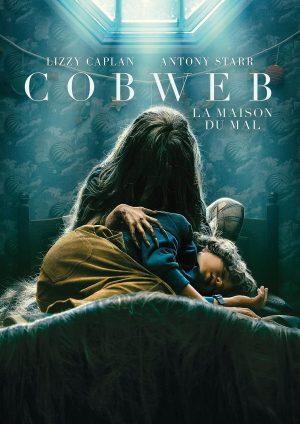 cob web dvd films à vendre