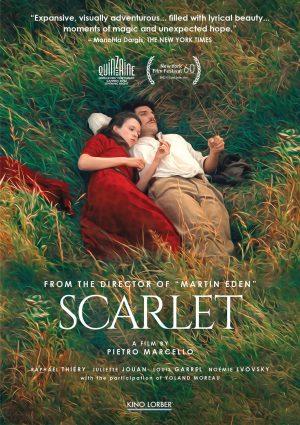 scarlet dvd films à vendre