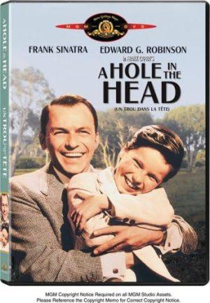 a hole in the head dvd a vendre