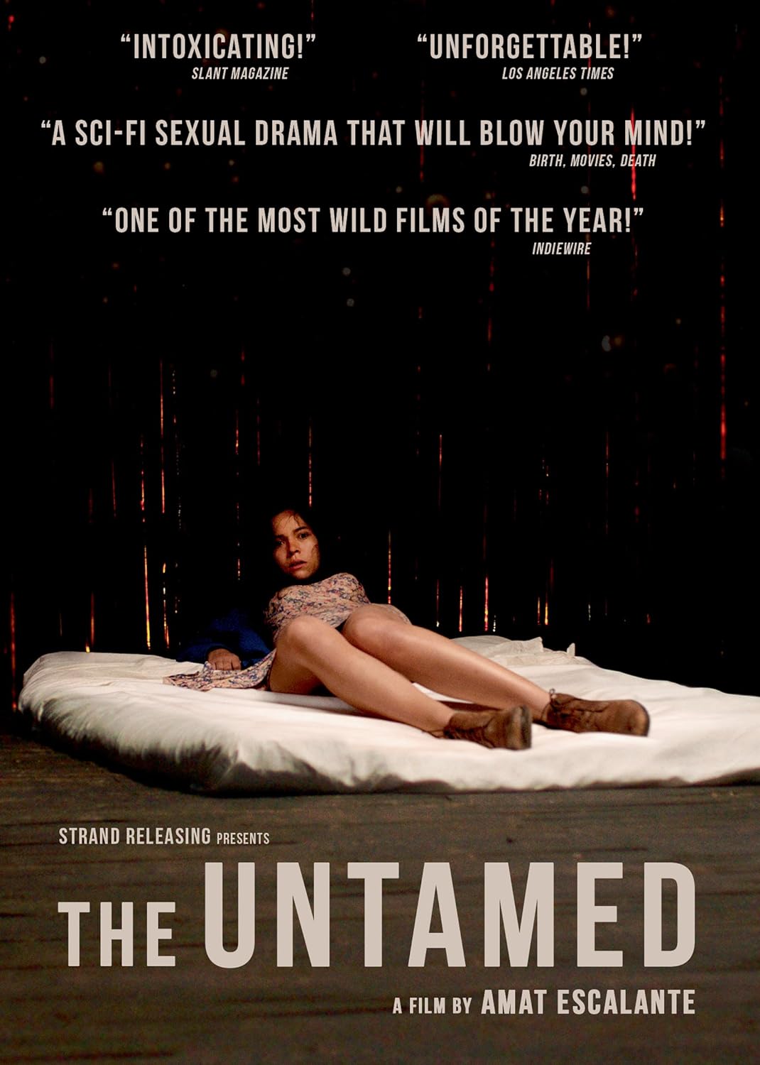the untamed dvd a vendre