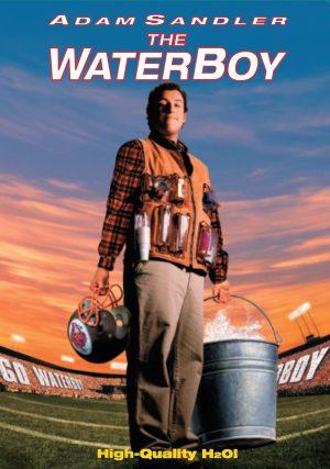 the waterboy dvd a vendre