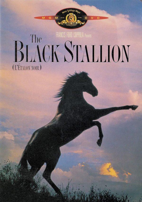 black stallion dvd a vendre