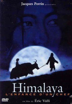 himalaya dvd a vendre