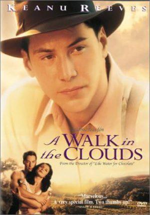 a walk in the clouds dvd a vendre