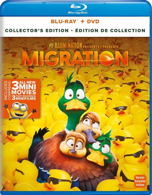 migration br dvd films à louer