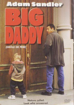 big daddy dvd a vendre