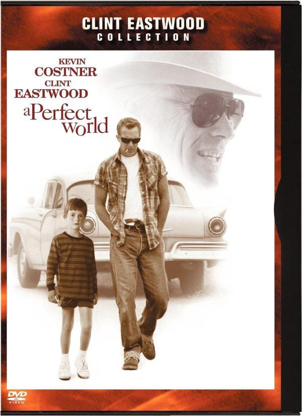 a perfect world dvd a vendre