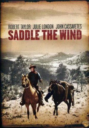 saddle the wind dvd a vendre