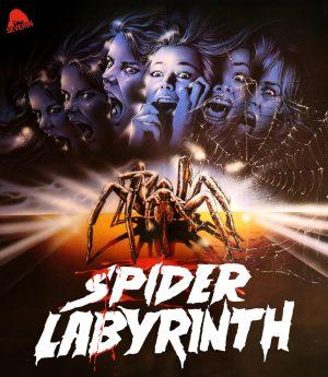 spider labyrinth blu ray a vendre
