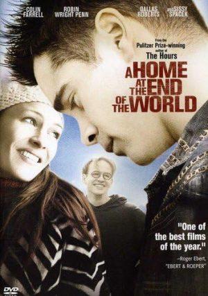 a home at the end of the world dvd a vendre