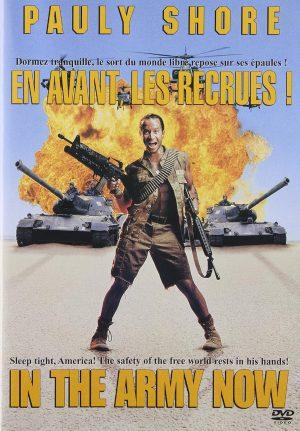 in the army now dvd a vendre