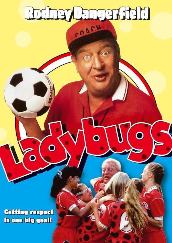 ladybugs dvd a vendre