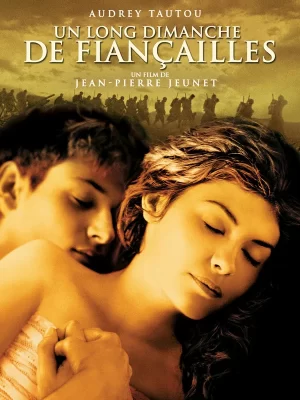 un long dimanche de fiancailles dvd a vendre