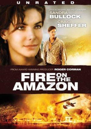 fire on the amazon dvd a vendre