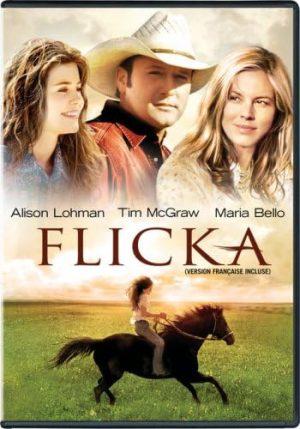 flicka dvd a vendre