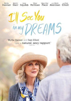 i'll see you in my dreams dvd a vendre