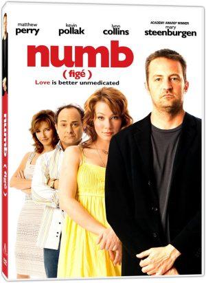 numb dvd a vendre