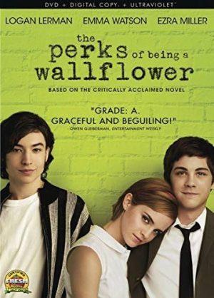 perks of being a wallflower dvd a vendre