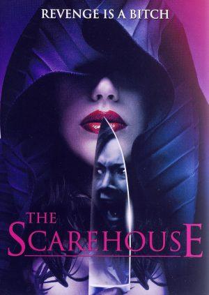 the scarehouse dvd a vendre