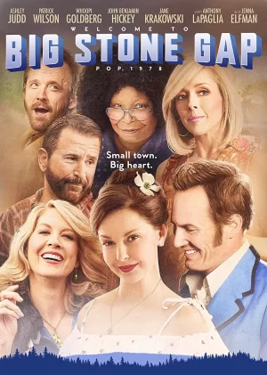 big stone gap dvd a vendre