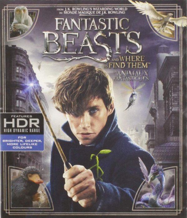 fantastic beasts 4k dvd films à vendre