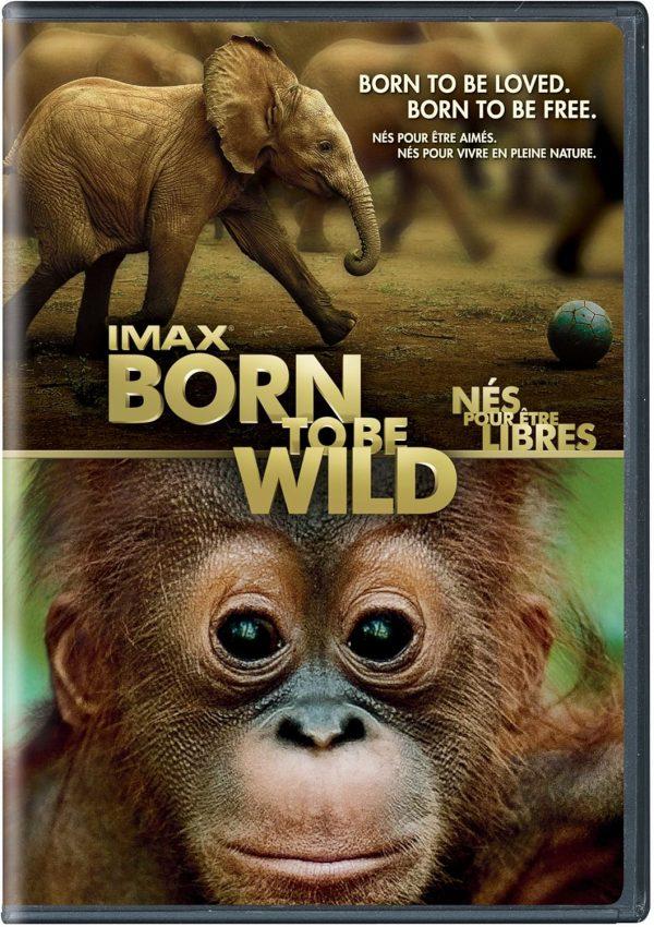 born to be wild dvd a vendre