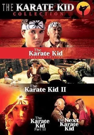 karate kid collection dvd a vendre