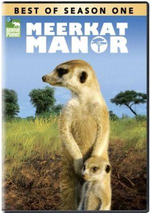 meerkat manor season 1 dvd a vendre