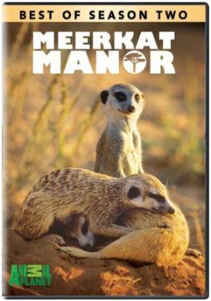 meerkat manor season 2 dvd a vendre