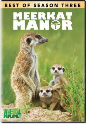 meerkat manor season 3 dvd a vendre