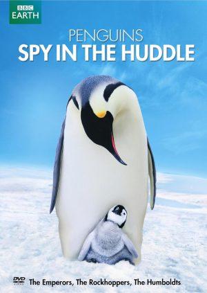 penguins spy in the huddle dvd a vendre