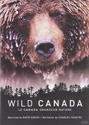 wild canada dvd a vendre