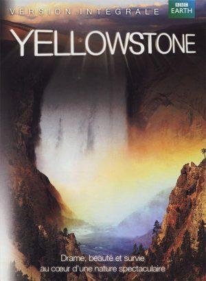 yellowstone dvd a vendre