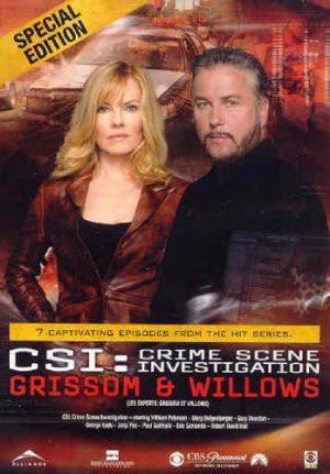 csi grissom & willows dvd a vendre