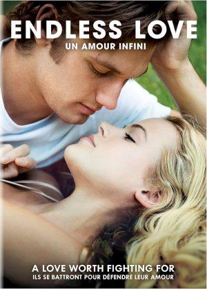 endless love dvd a vendre