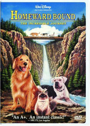 homeward bound dvd a vendre