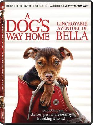 a dog's way home dvd a vendre