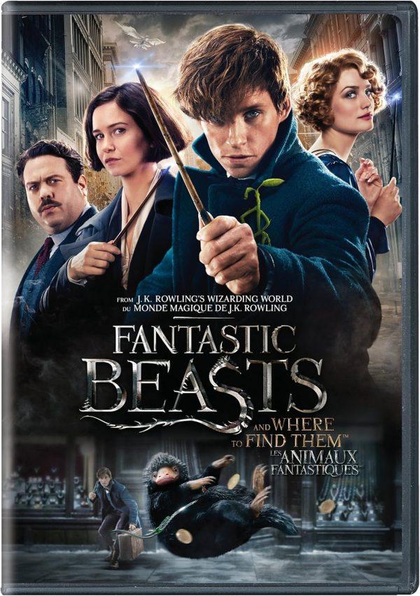 fantastic beast dvd a vendre