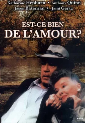 est ce bien de l'amour dvd a vendre